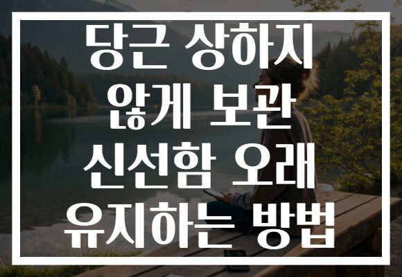 당근 상하지 않게 보관 신선함 오래 유지하는 방법 당근 상하지 않게 보관 신선함 오래 유지하는 방법