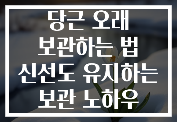 당근 오래 보관하는 법 신선도 유지하는 보관 노하우