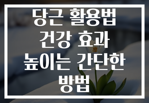 당근 활용법 건강 효과 높이는 간단한 방법 당근 활용법 건강 효과 높이는 간단한 방법