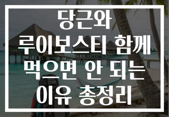 당근와 루이보스티 함께 먹으면 안 되는 이유 총정리