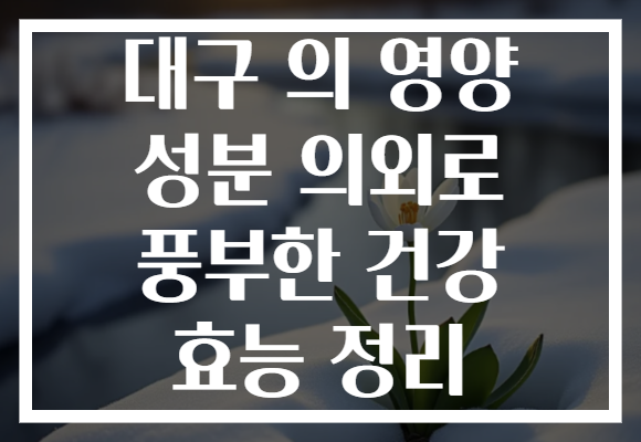 대구 의 영양 성분 의외로 풍부한 건강 효능 정리