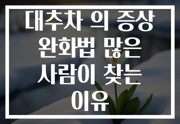 대추차 의 증상 완화법 많은 사람이 찾는 이유