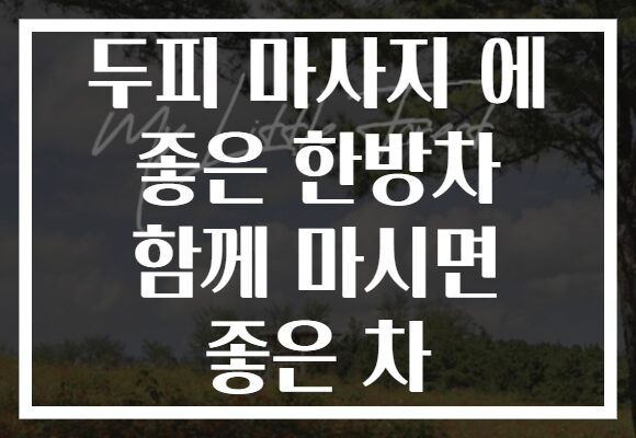 두피 마사지 에 좋은 한방차 함께 마시면 좋은 차