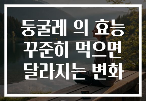 둥굴레 의 효능 꾸준히 먹으면 달라지는 변화 둥굴레 의 효능 꾸준히 먹으면 달라지는 변화
