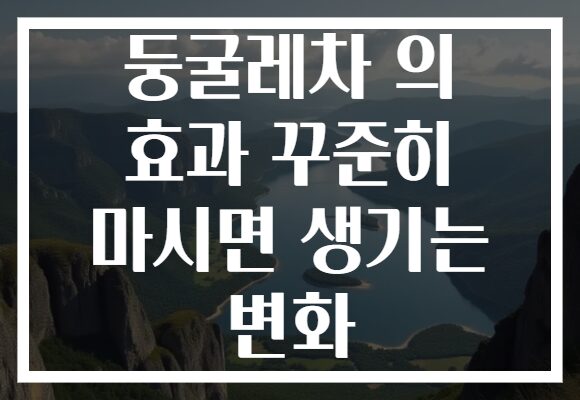 둥굴레차 의 효과 꾸준히 마시면 생기는 변화 둥굴레차 의 효과 꾸준히 마시면 생기는 변화