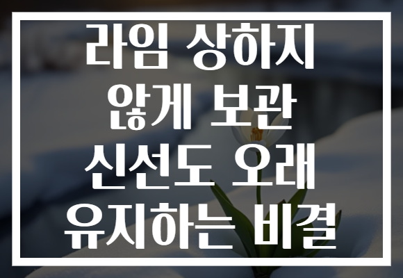라임 상하지 않게 보관 신선도 오래 유지하는 비결 라임 상하지 않게 보관 신선도 오래 유지하는 비결