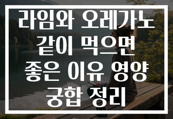 라임와 오레가노 같이 먹으면 좋은 이유 영양 궁합 정리 라임와 오레가노 같이 먹으면 좋은 이유 영양 궁합 정리