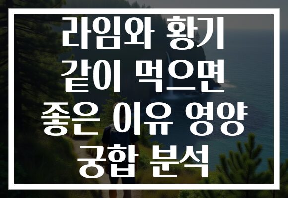 라임와 황기 같이 먹으면 좋은 이유 영양 궁합 분석 라임와 황기 같이 먹으면 좋은 이유 영양 궁합 분석