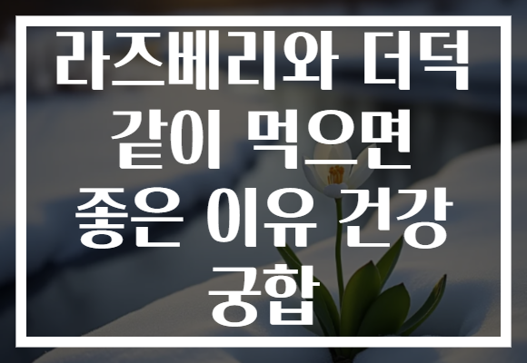 라즈베리와 더덕 같이 먹으면 좋은 이유 건강 궁합