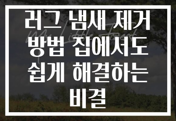 러그 냄새 제거 방법 집에서도 쉽게 해결하는 비결