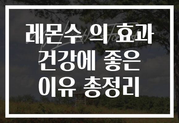 레몬수 의 효과 건강에 좋은 이유 총정리