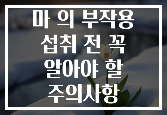 마 의 부작용 섭취 전 꼭 알아야 할 주의사항