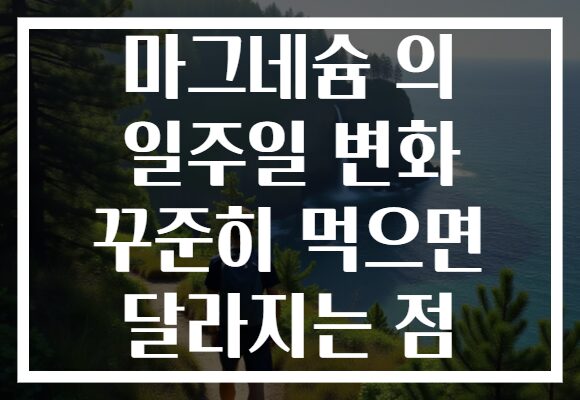 마그네슘 의 일주일 변화 꾸준히 먹으면 달라지는 점