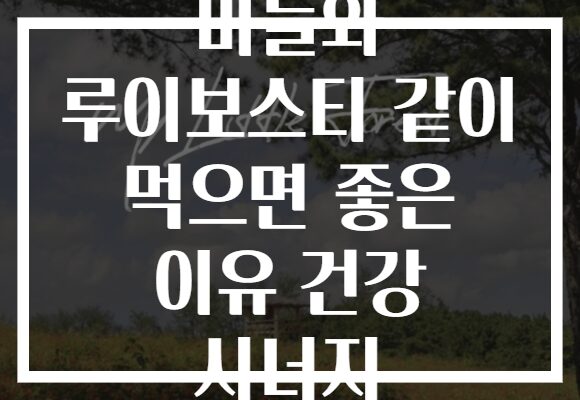 마늘와 루이보스티 같이 먹으면 좋은 이유 건강 시너지