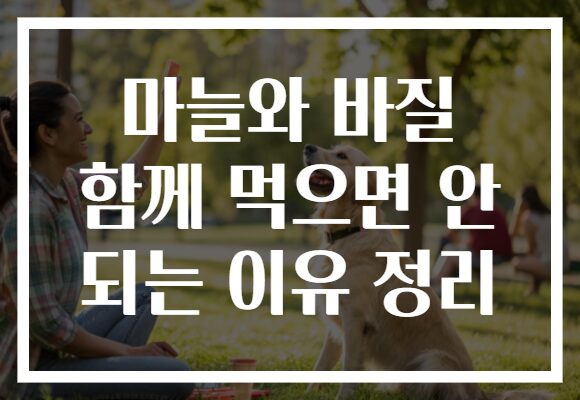 마늘와 바질 함께 먹으면 안 되는 이유 정리 마늘와 바질 함께 먹으면 안 되는 이유 정리