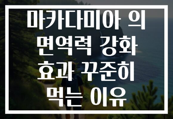 마카다미아 의 면역력 강화 효과 꾸준히 먹는 이유