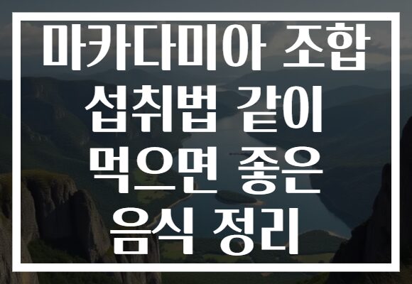 마카다미아 조합 섭취법 같이 먹으면 좋은 음식 정리 마카다미아 조합 섭취법 같이 먹으면 좋은 음식 정리