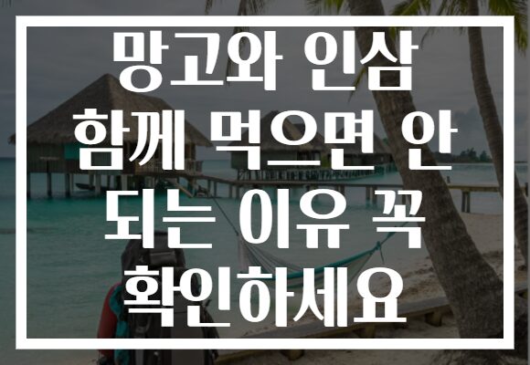망고와 인삼 함께 먹으면 안 되는 이유 꼭 확인하세요 망고와 인삼 함께 먹으면 안 되는 이유 꼭 확인하세요