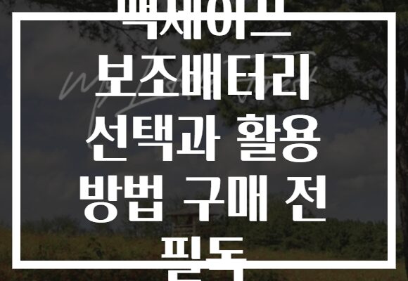 맥세이프 보조배터리 선택과 활용 방법 구매 전 필독 맥세이프 보조배터리 선택과 활용 방법 구매 전 필독