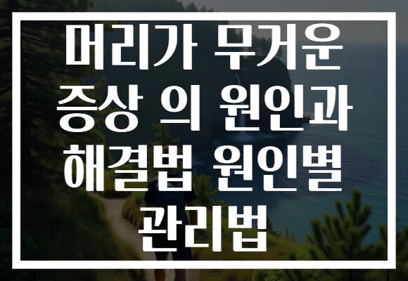 머리가 무거운 증상 의 원인과 해결법 원인별 관리법