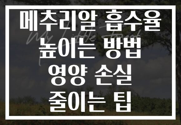 메추리알 흡수율 높이는 방법 영양 손실 줄이는 팁