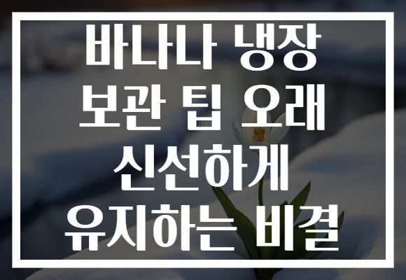 바나나 냉장 보관 팁 오래 신선하게 유지하는 비결