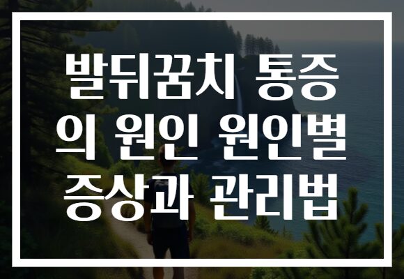 발뒤꿈치 통증 의 원인 원인별 증상과 관리법