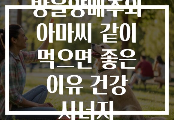 방울양배추와 아마씨 같이 먹으면 좋은 이유 건강 시너지 방울양배추와 아마씨 같이 먹으면 좋은 이유 건강 시너지