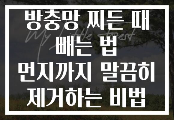 방충망 찌든 때 빼는 법 먼지까지 말끔히 제거하는 비법