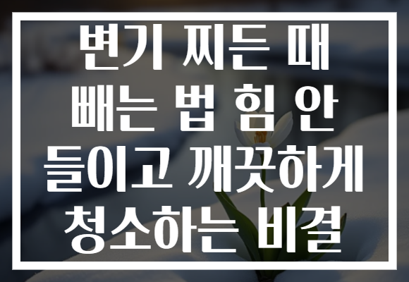 변기 찌든 때 빼는 법 힘 안 들이고 깨끗하게 청소하는 비결
