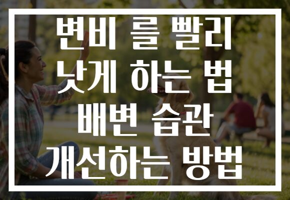 변비 를 빨리 낫게 하는 법 배변 습관 개선하는 방법 변비 를 빨리 낫게 하는 법 배변 습관 개선하는 방법