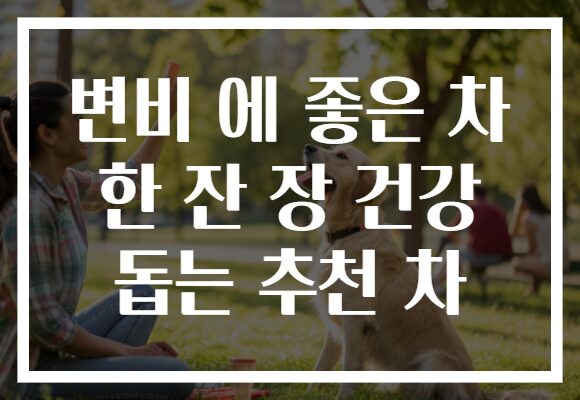 변비 에 좋은 차 한 잔 장 건강 돕는 추천 차 변비 에 좋은 차 한 잔 장 건강 돕는 추천 차