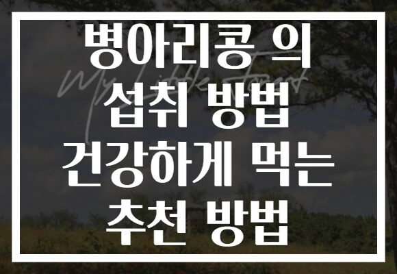 병아리콩 의 섭취 방법 건강하게 먹는 추천 방법