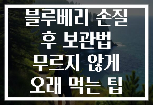 블루베리 손질 후 보관법 무르지 않게 오래 먹는 팁 블루베리 손질 후 보관법 무르지 않게 오래 먹는 팁