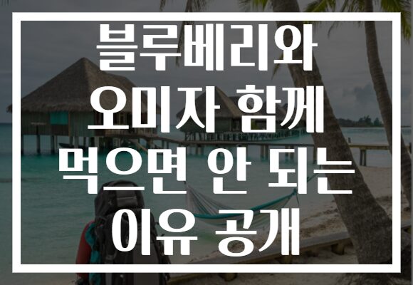 블루베리와 오미자 함께 먹으면 안 되는 이유 공개