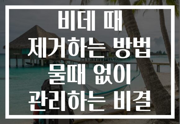 비데 때 제거하는 방법 물때 없이 관리하는 비결