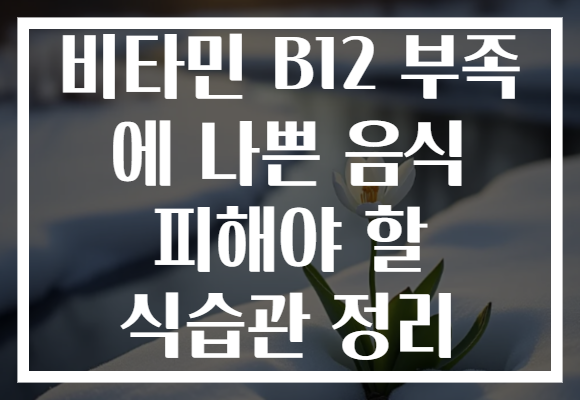 비타민 B12 부족 에 나쁜 음식 피해야 할 식습관 정리 비타민 B12 부족 에 나쁜 음식 피해야 할 식습관 정리