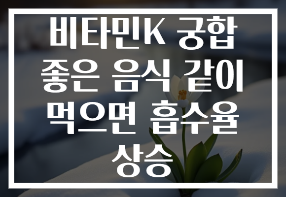 비타민K 궁합 좋은 음식 같이 먹으면 흡수율 상승 비타민K 궁합 좋은 음식 같이 먹으면 흡수율 상승