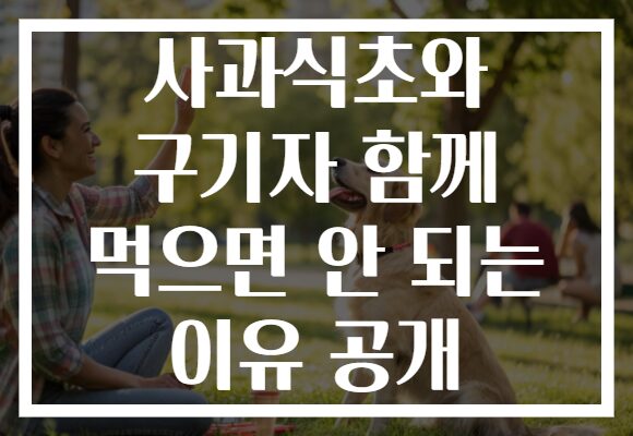 사과식초와 구기자 함께 먹으면 안 되는 이유 공개
