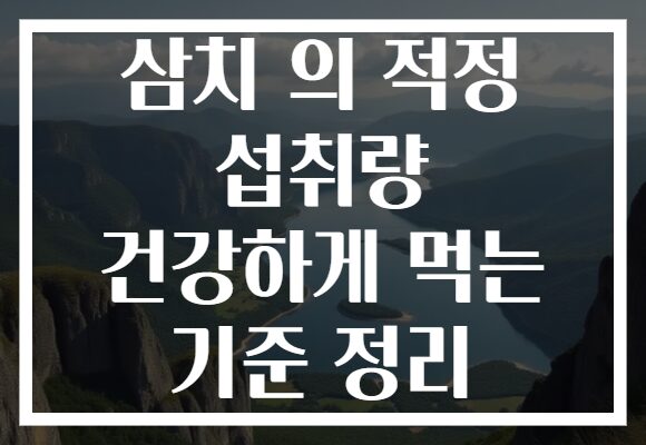 삼치 의 적정 섭취량 건강하게 먹는 기준 정리 삼치 의 적정 섭취량 건강하게 먹는 기준 정리