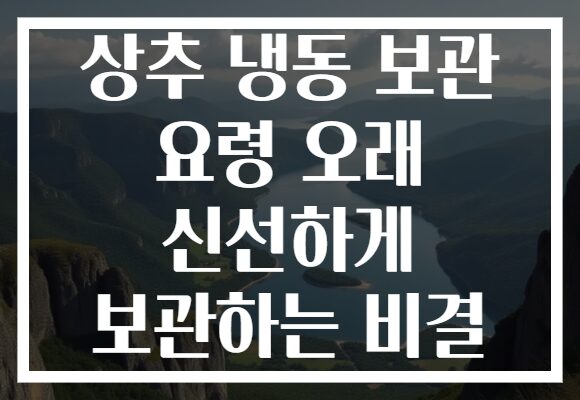 상추 냉동 보관 요령 오래 신선하게 보관하는 비결