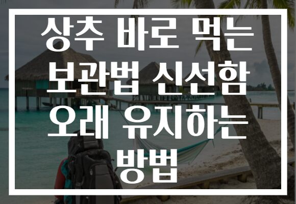 상추 바로 먹는 보관법 신선함 오래 유지하는 방법 상추 바로 먹는 보관법 신선함 오래 유지하는 방법