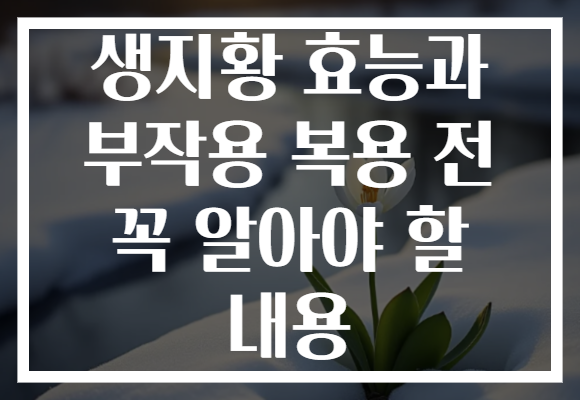 생지황 효능과 부작용 복용 전 꼭 알아야 할 내용