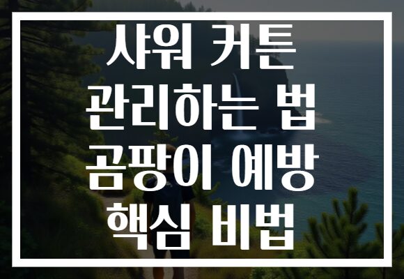 샤워 커튼 관리하는 법 곰팡이 예방 핵심 비법 샤워 커튼 관리하는 법 곰팡이 예방 핵심 비법