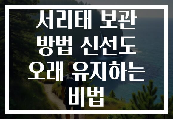 서리태 보관 방법 신선도 오래 유지하는 비법 서리태 보관 방법 신선도 오래 유지하는 비법