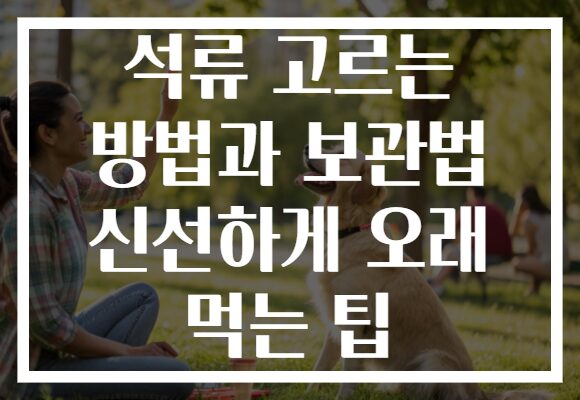 석류 고르는 방법과 보관법 신선하게 오래 먹는 팁