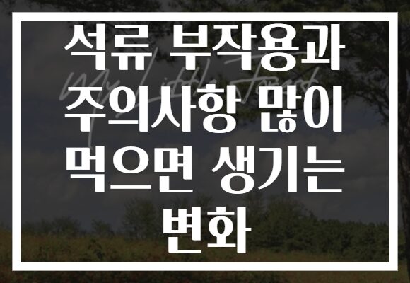 석류 부작용과 주의사항 많이 먹으면 생기는 변화