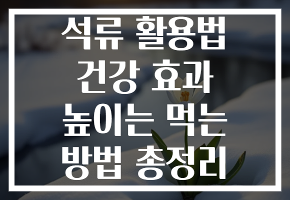 석류 활용법 건강 효과 높이는 먹는 방법 총정리