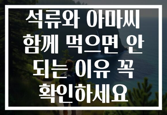 석류와 아마씨 함께 먹으면 안 되는 이유 꼭 확인하세요 석류와 아마씨 함께 먹으면 안 되는 이유 꼭 확인하세요