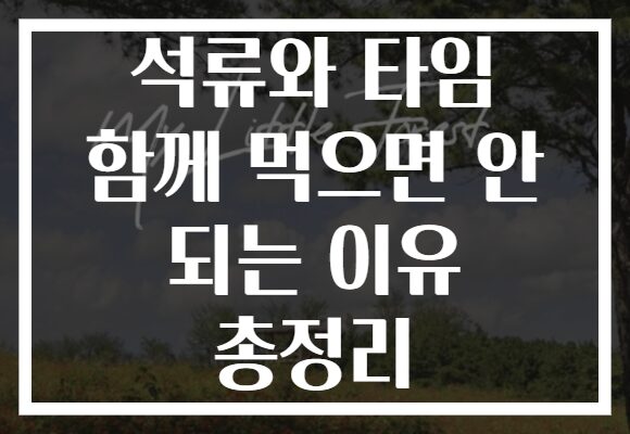 석류와 타임 함께 먹으면 안 되는 이유 총정리 석류와 타임 함께 먹으면 안 되는 이유 총정리